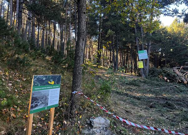 La Massana recupera prats de pastura als Hortons d’Anyós